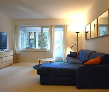 1.5 Zimmer, EG - Photo 2