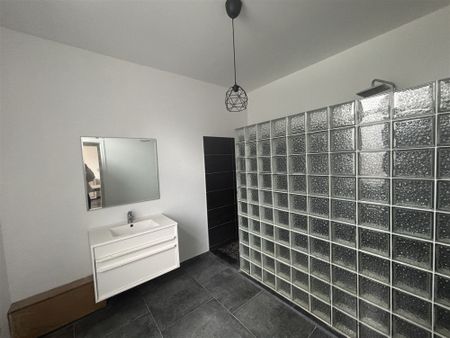 Maison 3 façades récemment rénovée avec jardin - Foto 4