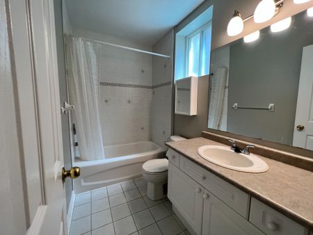 For Lease - 209 Dunsmore Lane Unit# Lower, Barrie, Ontario - Photo 3
