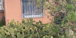 Μονοκατοικία 65 τ.μ. για ενοικίαση, Αθήνα - Ανατολικά Προάστια, Κορωπί - Photo 3