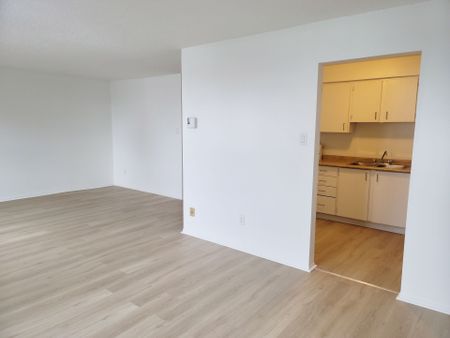 For Lease - 2 Orchard Heights Boulevard Unit# 206, Aurora, Ontario - Photo 5