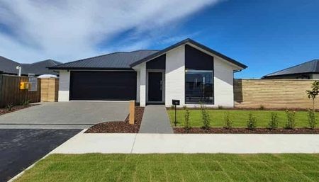 Modern, Spacious & Sun-Filled - Photo 3