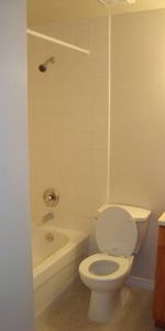 Large Renovated One Bedroom Suite in Mt Pleasant (Main & 12th) - Photo 4