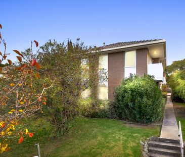 LIGHT FILLED APARTMENT IN KEW - Photo 5