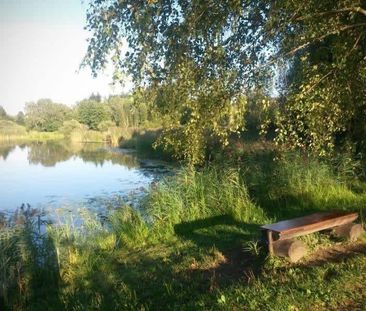 2.5 Zimmer, 78 m² - Photo 1