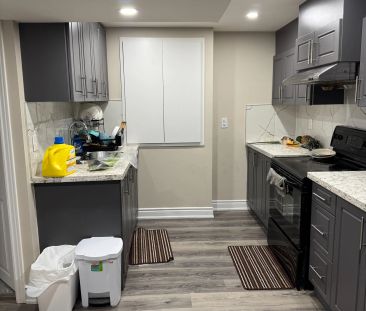 16 Braddock Drive #Basement - Photo 4