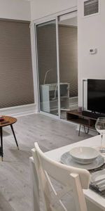 Spacious super clean Downtown Toronto Furnished Condo with Parking ava - Photo 3