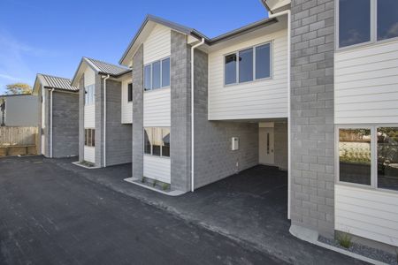 16, Manning Street, Hamilton, 3204, Hamilton City Central - Photo 5