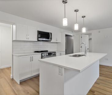 294 Somerset Street East - 102 - Photo 3