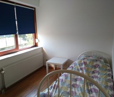 EINDHOVEN, Graspieper - Foto 4