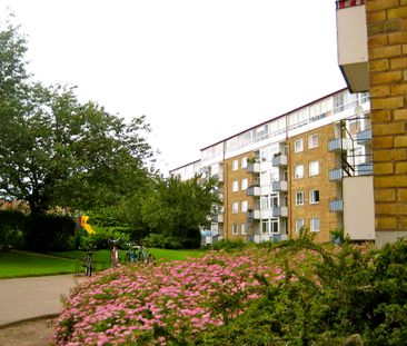 Fäladsgatan, Helsingborg - Photo 2