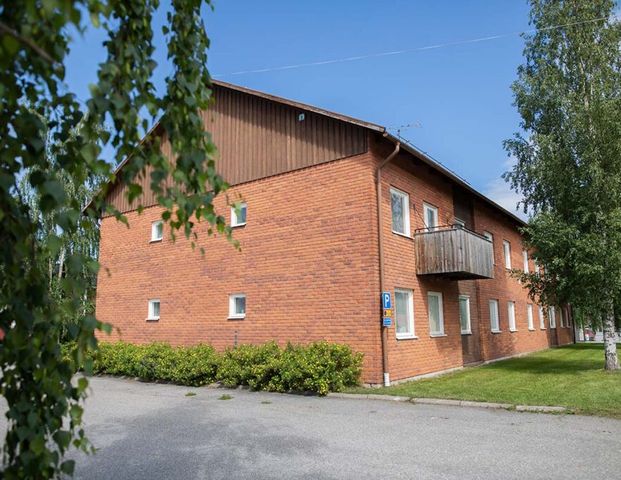 Häradsvägen, Vindeln - Photo 1