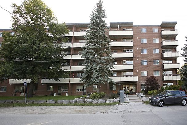 Collingwood Place - Photo 1