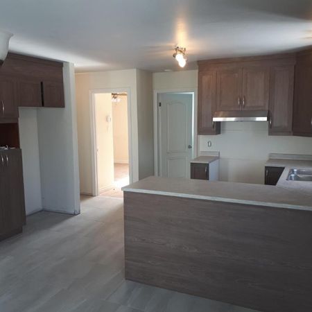 Beau grand 4 et demi Libre le 1er janvier 2026 - Photo 3