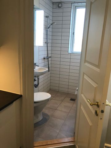 Schleppegrellsgade 16, 2. th. 8000 Aarhus C - Foto 5