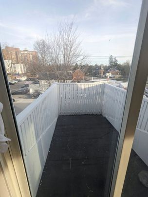 For Lease - 18 Sheldon Avenue, Kitchener, Ontario - Photo 1