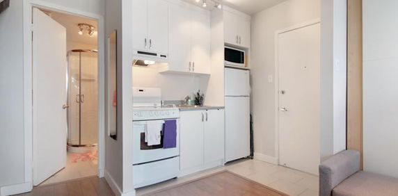 Loft entièrement meublé à louer Saint-Jean-Baptiste octobre 2025 - Photo 2