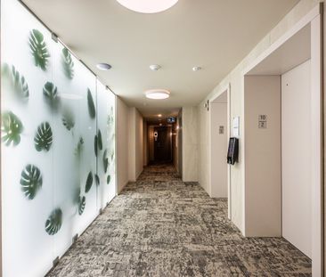 À louer / Appartement - Photo 4