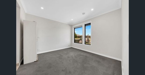 Family Entertainer! - Photo 1