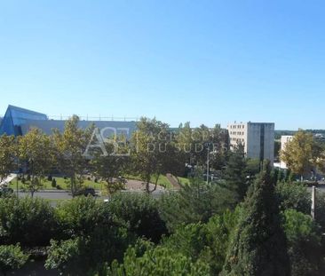 Location Appartement - Photo 4