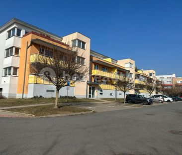 Pronájem bytu 1+kk • 33 m² bez realitkyFederova, Praha - Kyje - Photo 3