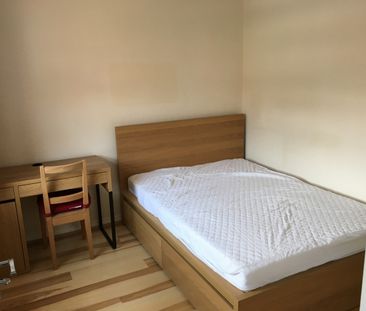 4 Bed Semi-Detached House, Maplin Close, CV4 - Photo 4