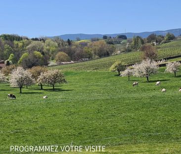 Spacieuse maison familiale de 6.5 pièces avec grand jardin - Photo 4
