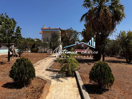 Μονοκατοικία για ενοικίαση - Ανάβυσσος, - Photo 4