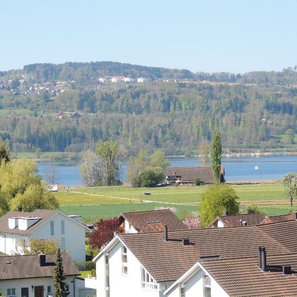 "Grosszügige Wohnung am Greifensee" - Foto 1
