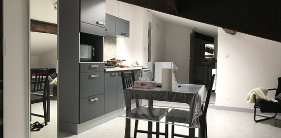 Location appartement 1 pièce 25.46 m² à Vienne (38200) - Photo 2