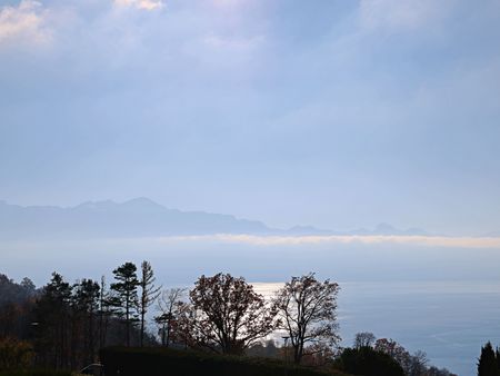 Magnifique appartement 4p / 2 ou 3 chambres / Vue imprenable lac et montagnes - Foto 4