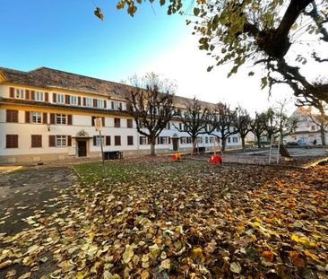 3 Zimmer Wohnung im Lindenhof! - Foto 6