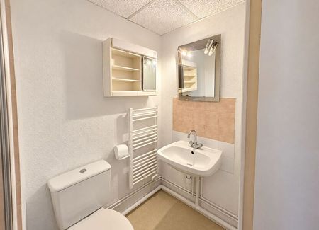 Appartement à louer 1 pièce • 19,70 m 2 Le Mans - Photo 5