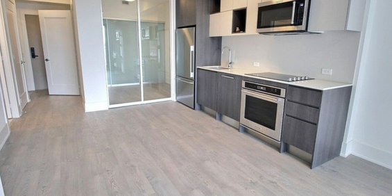Luxury New 2 Bedrooms, 2 Bathroom Condo - Photo 3