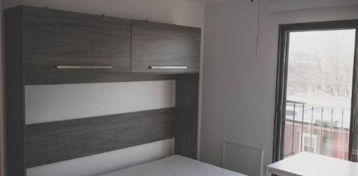 1 1/2 - Montréal (La Petite-Patrie) - 950 $/mois - Photo 2