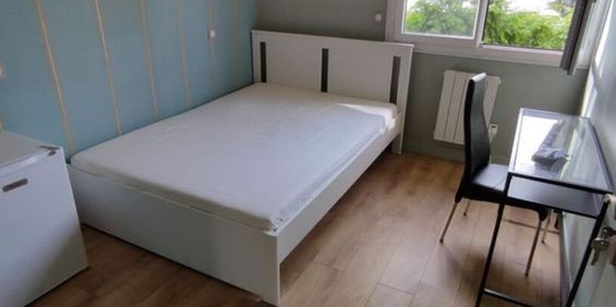 House - Photo 3