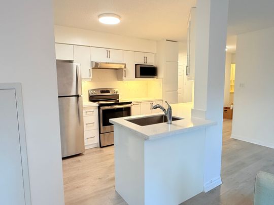 For Lease - 24 Wellesley Street Unit# 212, Toronto, Ontario - Photo 1