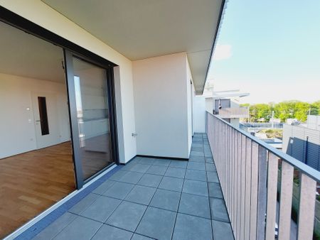 Helle 2 -Zimmerwohnung mit Loggia und Balkon. Adelheid-Popp-Gasse 10 - Foto 5