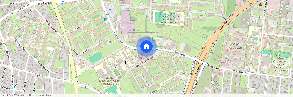 ul. Wyścigowa, Idalin, Radom, mazowieckie