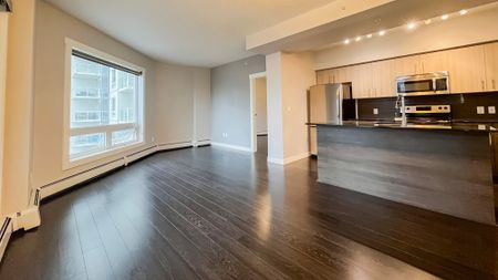 Executive Condo In The Heart Of Edmonton’s Ice District. Underground Parking & Storage - Photo 2