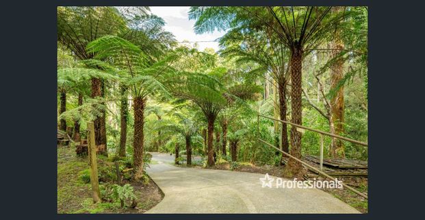 Nature Loving - Photo 1