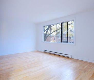 6337 Av. MacDonald - Photo 3