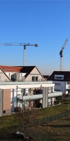 A louer F2 BBC – Domaine des Cépages - Photo 2