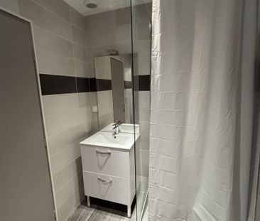Location Appartement 1 pièce 34m² CONDRIEU 69420 - Photo 3