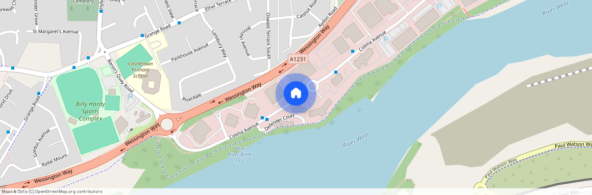 at Wellington Park, 12 Wigham Close SR5