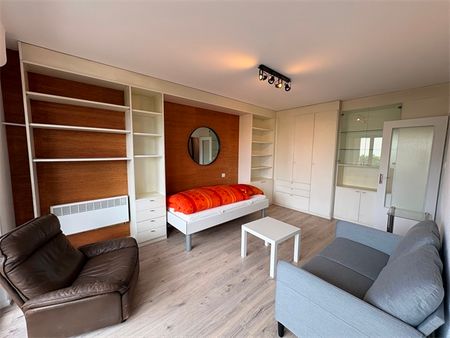 Location Appartement 1 pièce 31m² - Photo 2