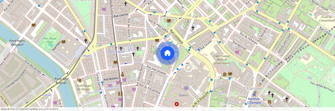 Rue Goetz-Monin 25, 1205 GENEVE