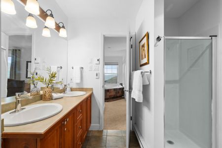 Condo for rent, Mont-Tremblant - Photo 4