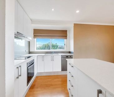 8A Albatross Av, Chiton SA 5211 - House For Rent | Domain - Photo 5