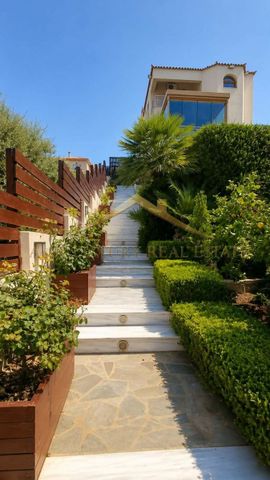Μονοκατοικία για ενοικίαση Καλλιτεχνούπολη (Ραφήνα) - Φωτογραφία 5